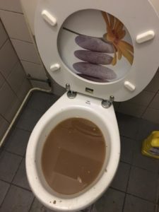 verstopte wc in Spijkenisse